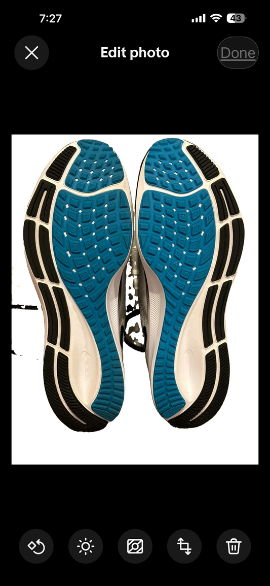 Nike Air Zoom Pegasus 37 Carolina Panthers